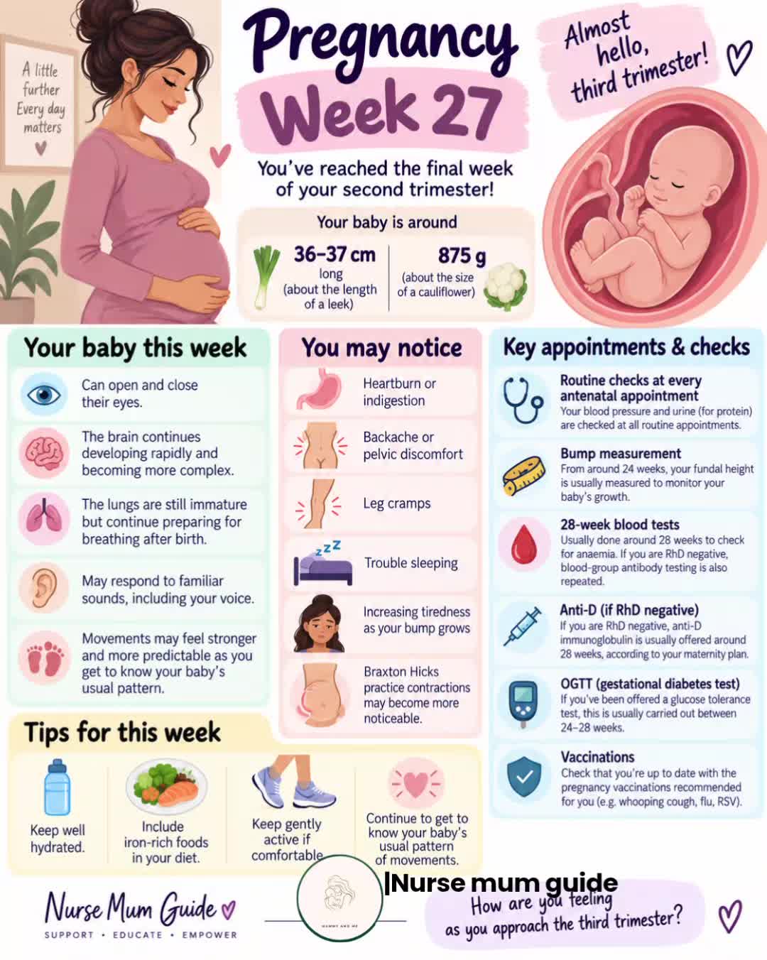 @Nurse Mum Guide