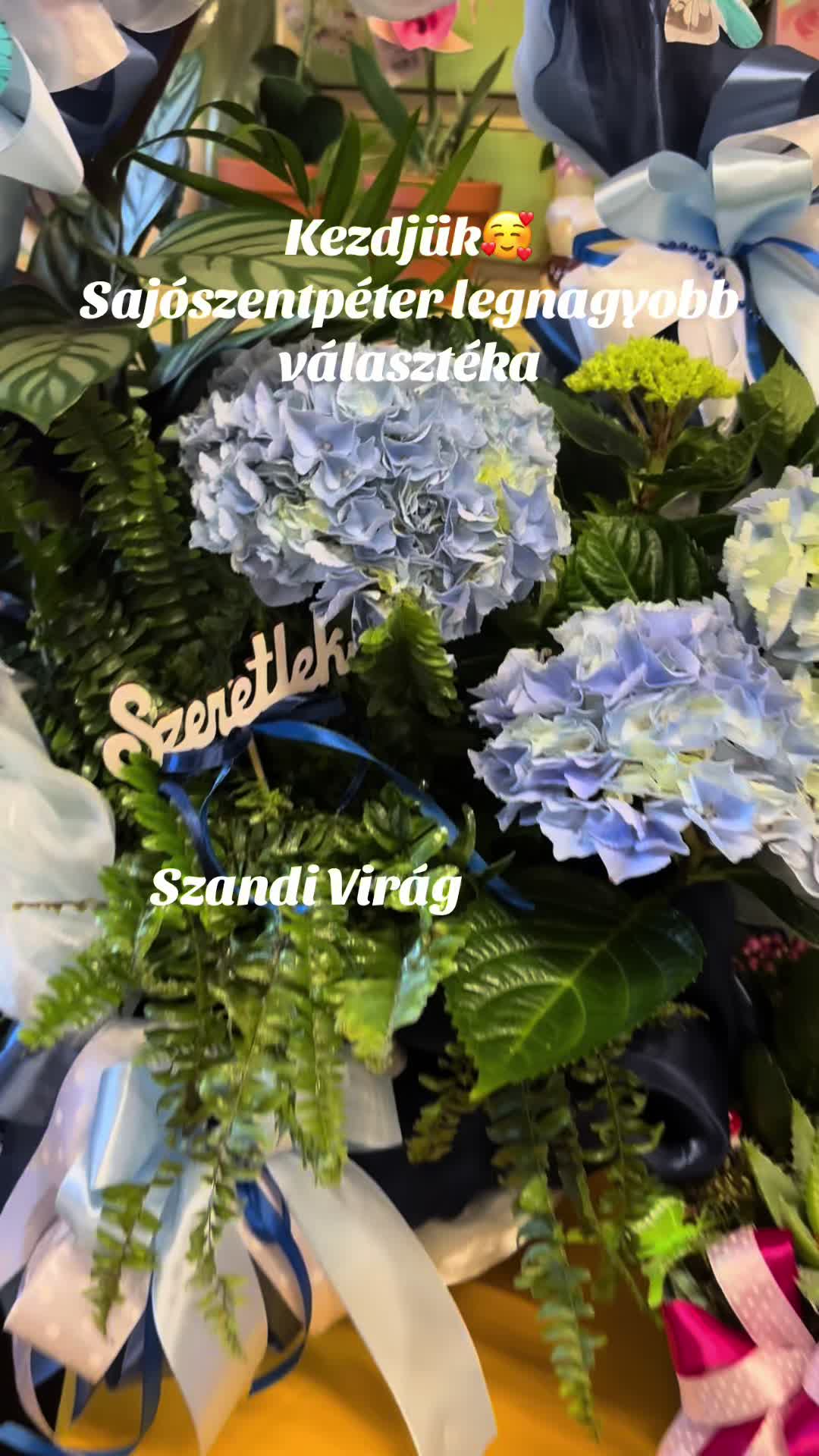 @SzandiVir&aacute;g
