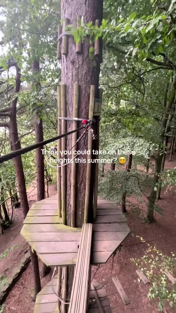 @Go Ape Rivington