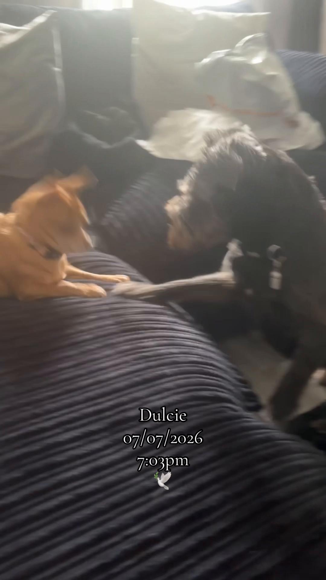 @𝒦𝒶𝒸𝒾-𝓈𝒽𝒶𝓎