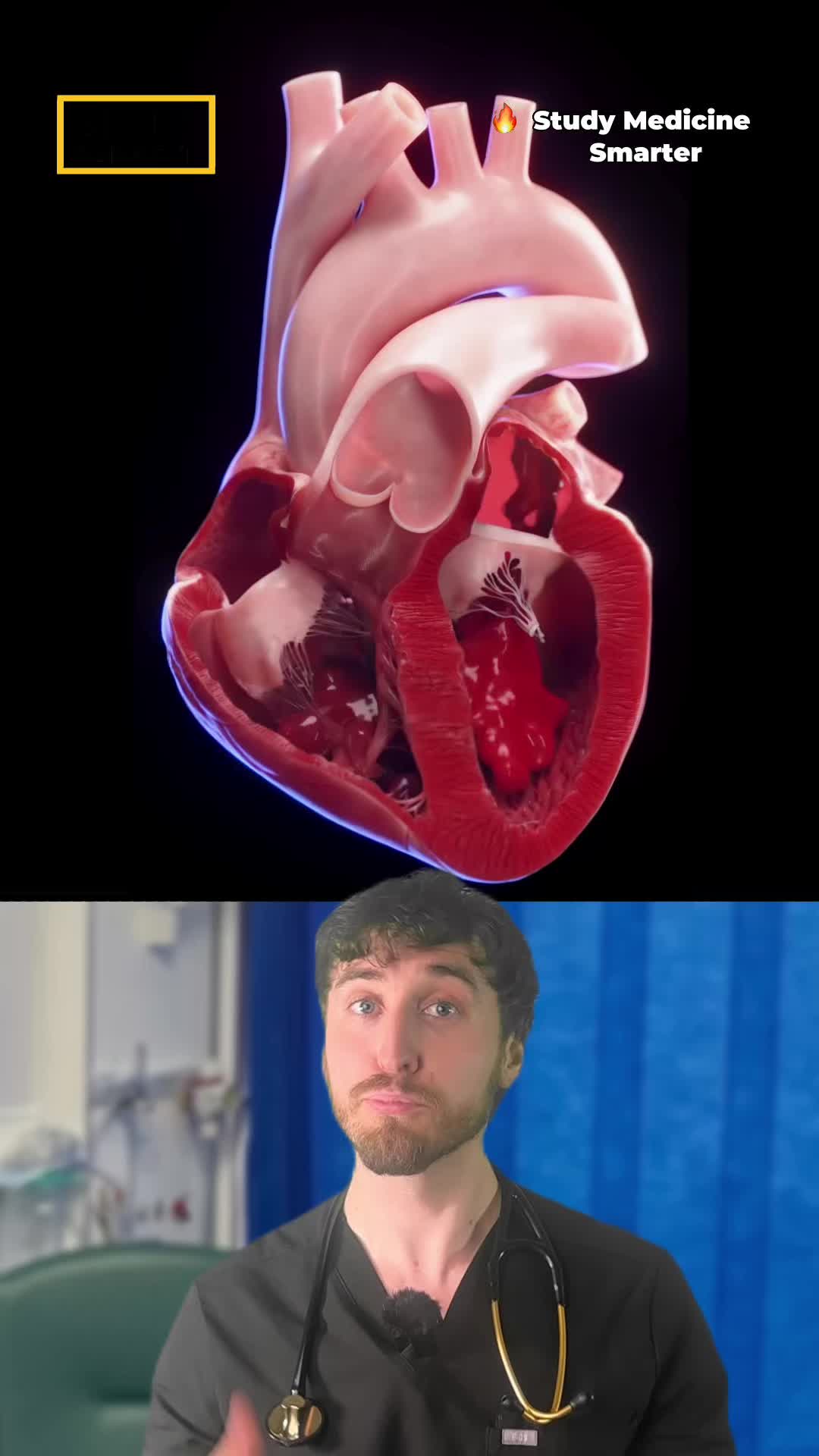 @Dr Matt Barrett