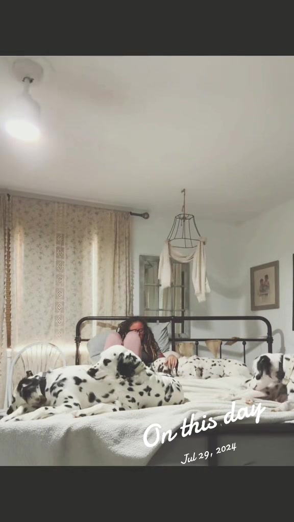 @Darling Dalmatians