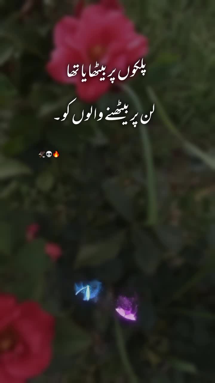 @NOOR 𔘓 / 🫥