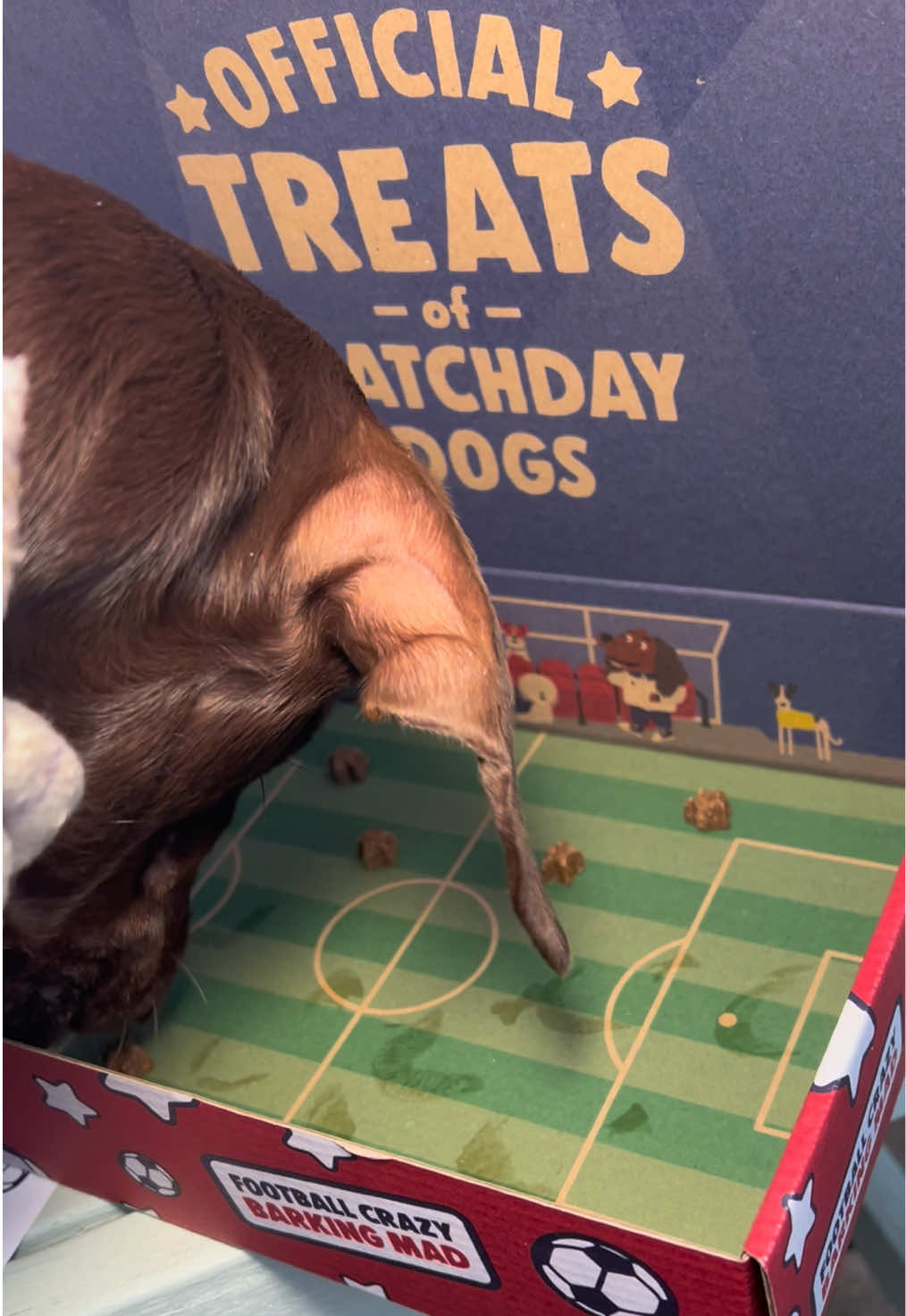 @disneythedachshund