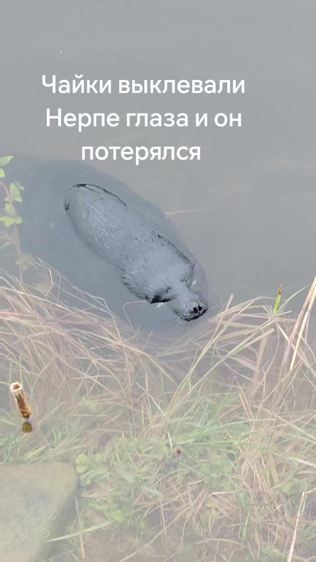@(ЖОР)Жизнь Одного Рыбака