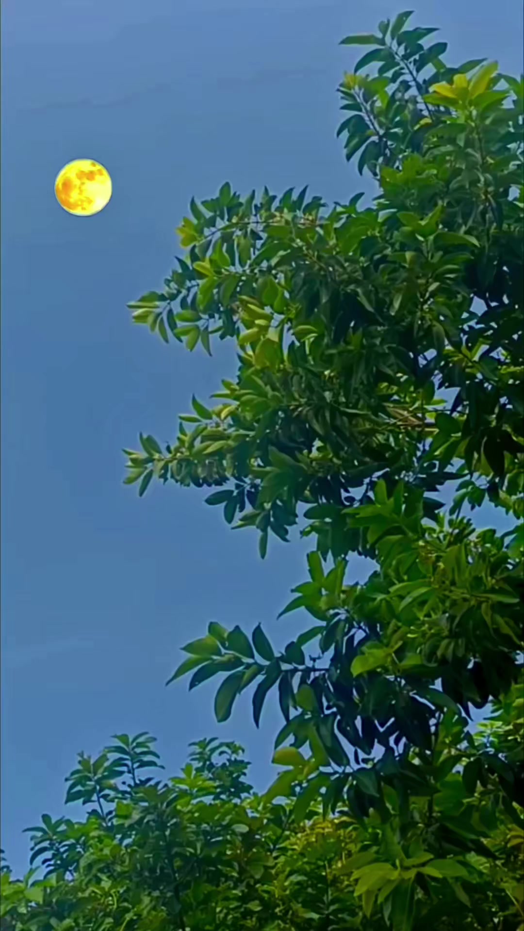 @Hữu.Nguyên 57