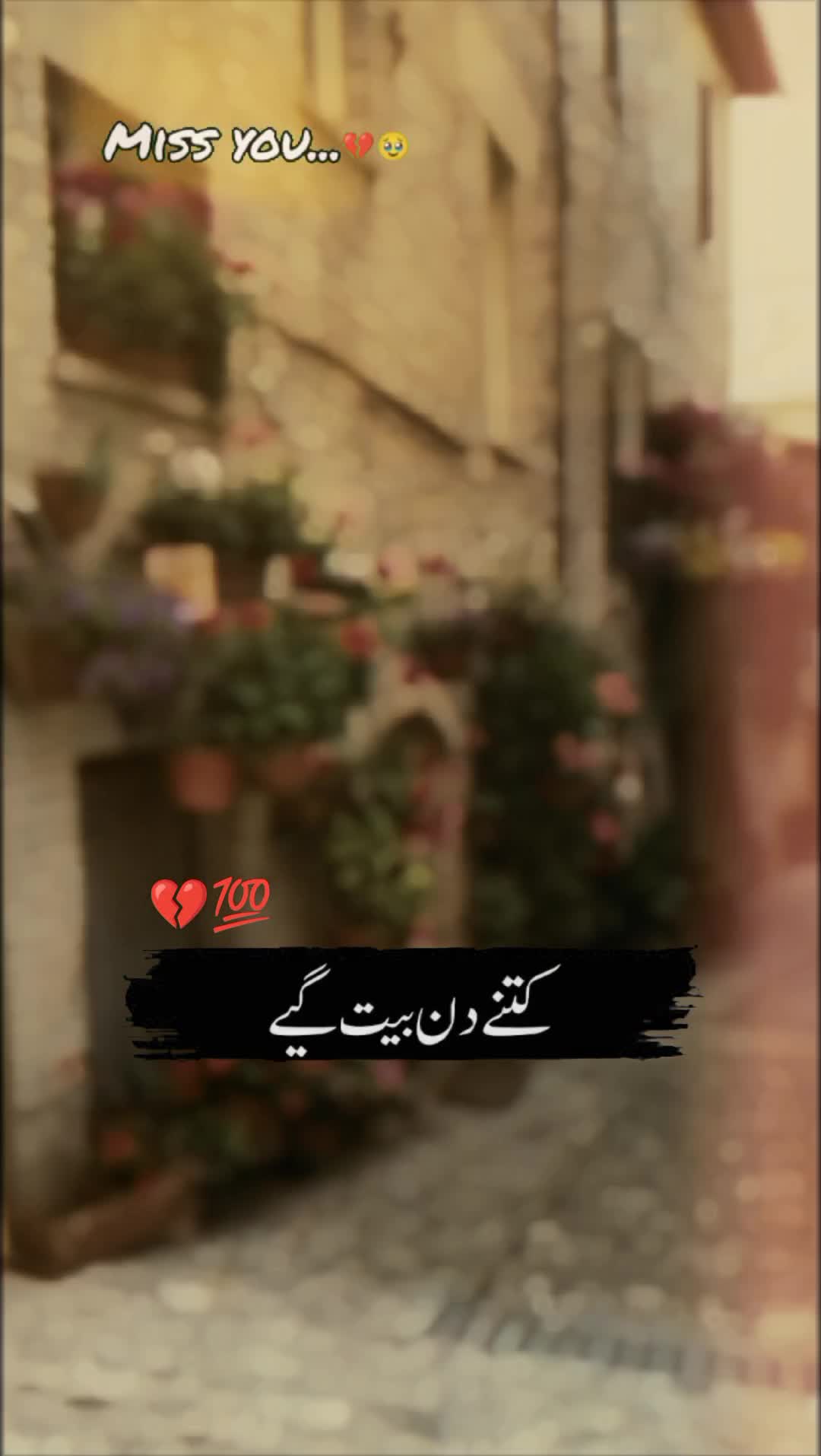 @🍂سرورِ عشق🫀