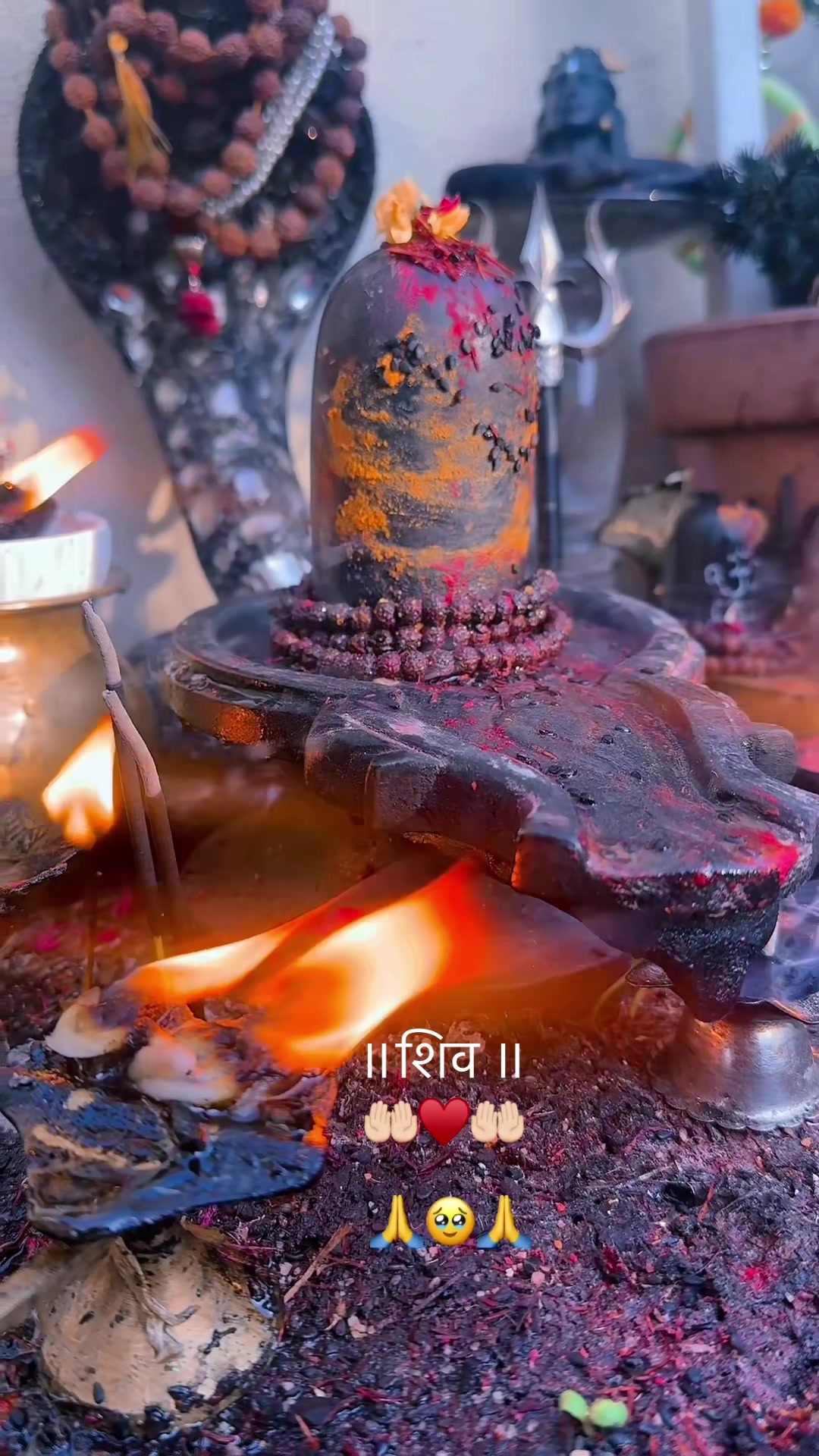 @ਵਲੈਤੀ ਪੰਜਾਬਣ sukh/ਸੁਖ