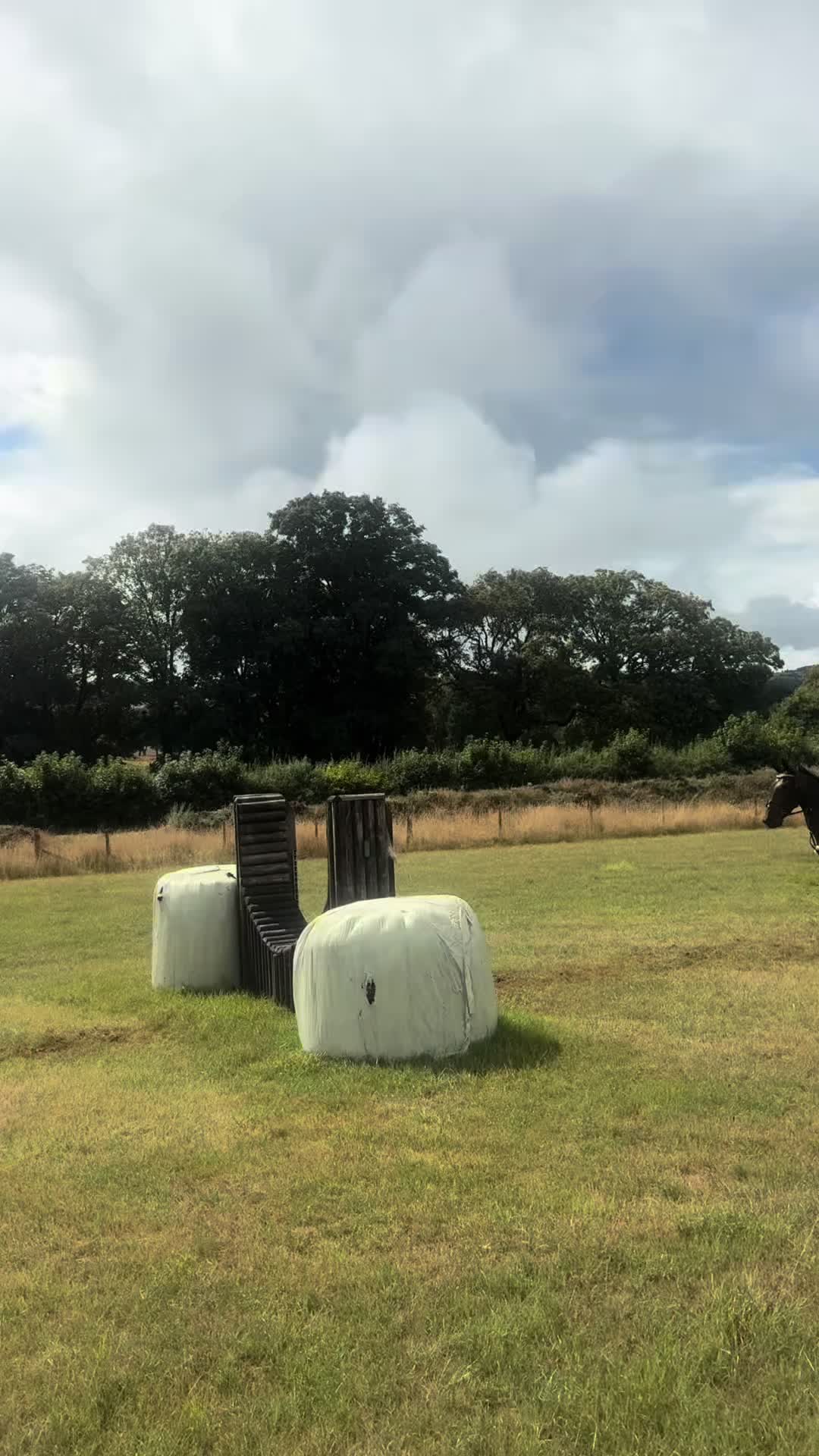 @poppy 🌾🐴 🇬🇧