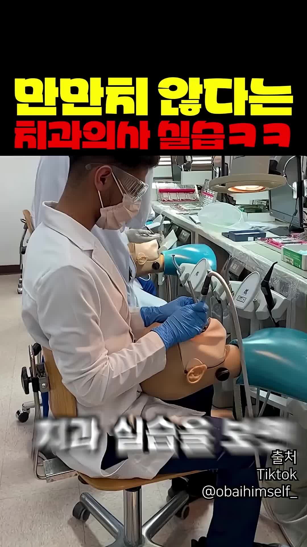 @짱아까미