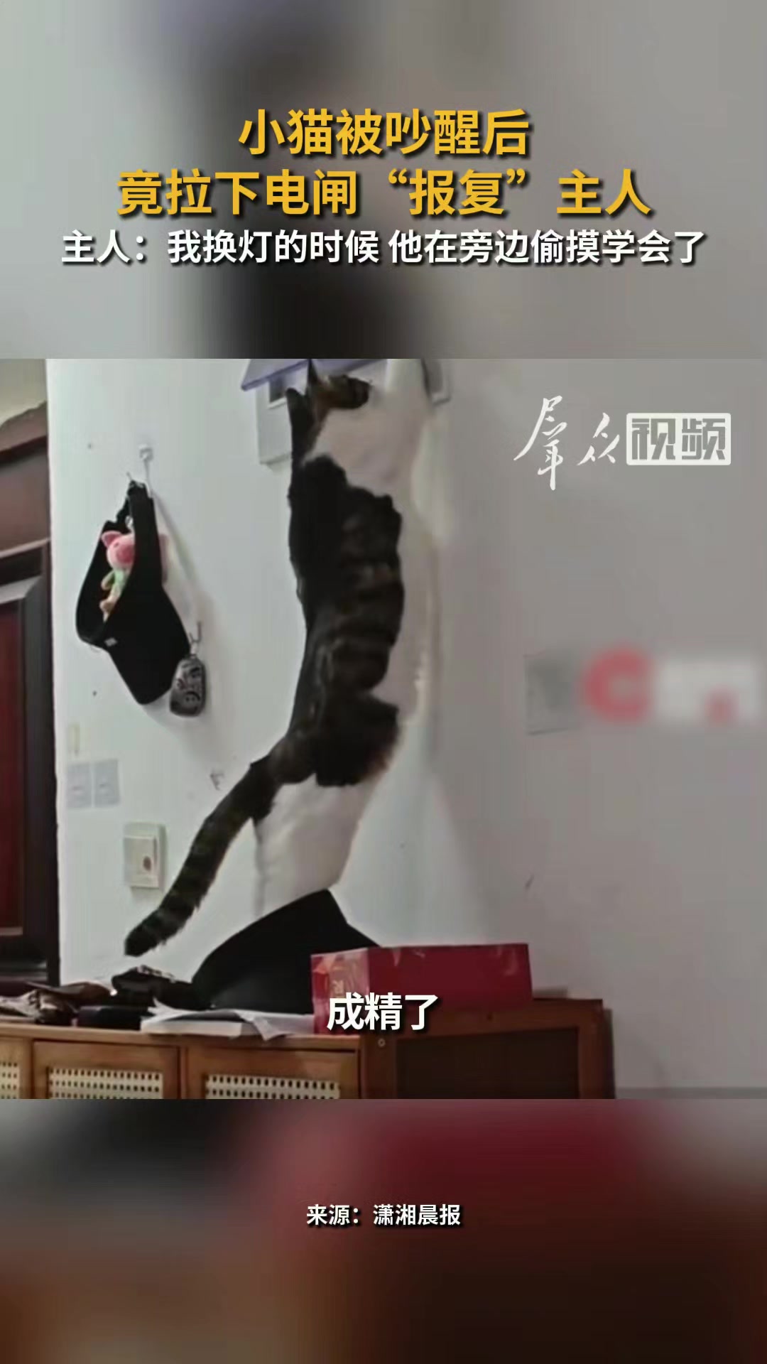 @林京一