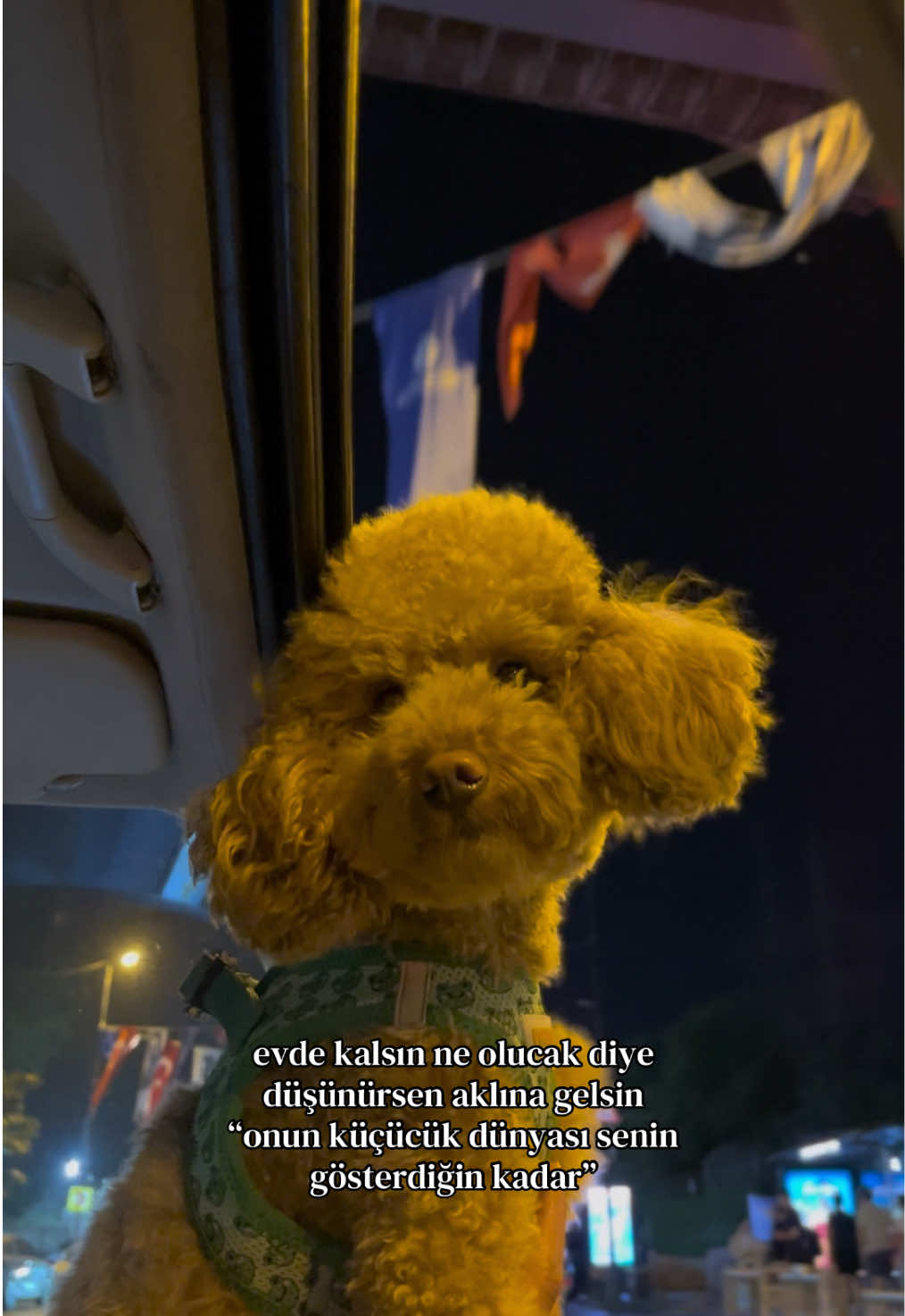 @ceren