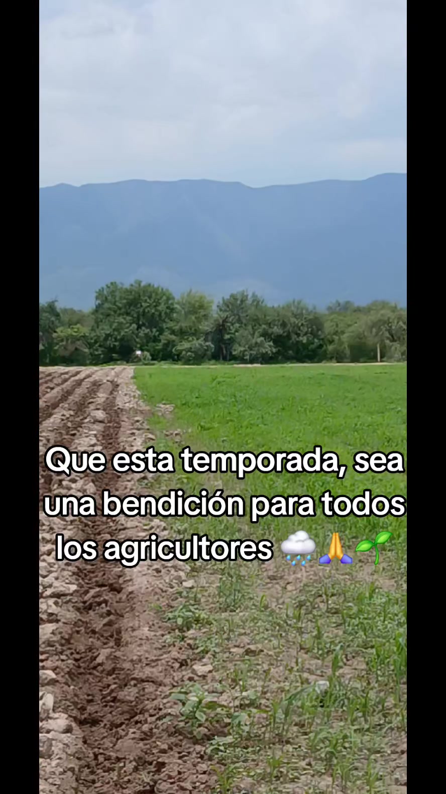 @ADAN SG