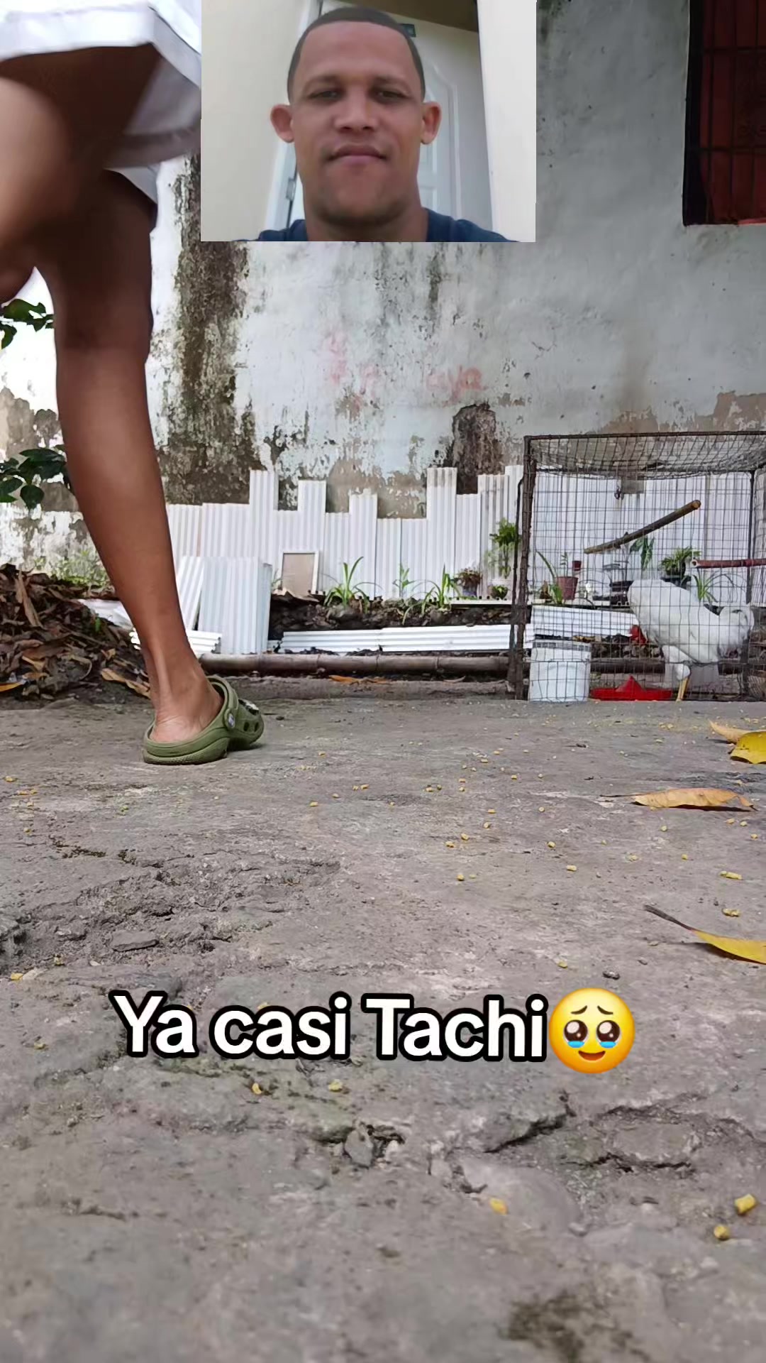 @betsyoficial