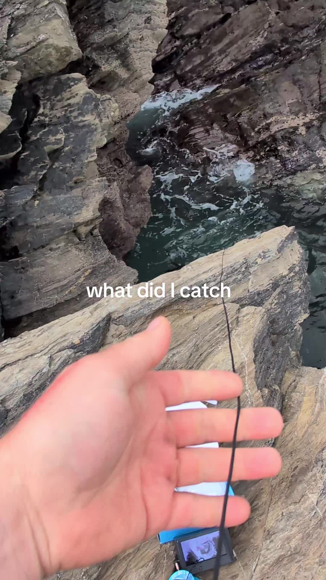 @vanlife