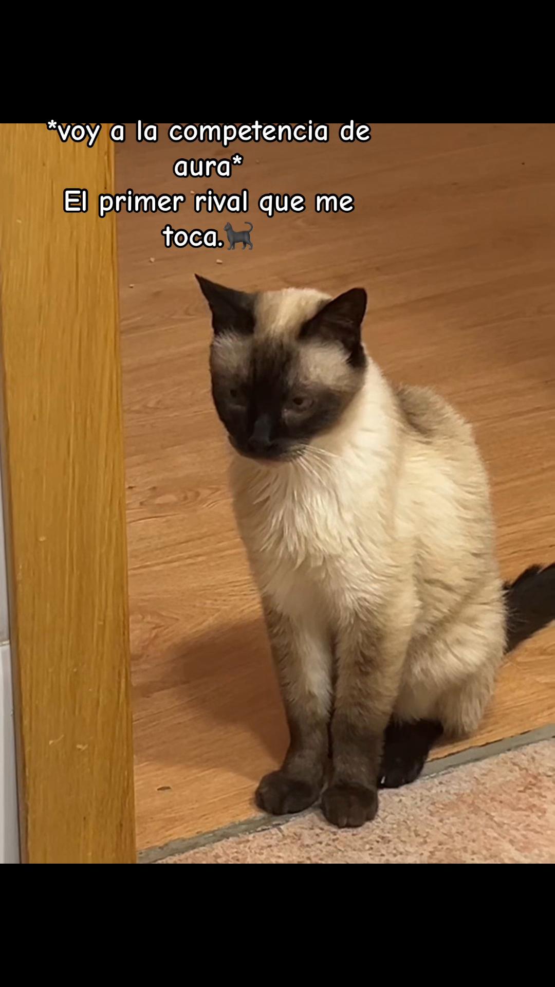@fattyb11
