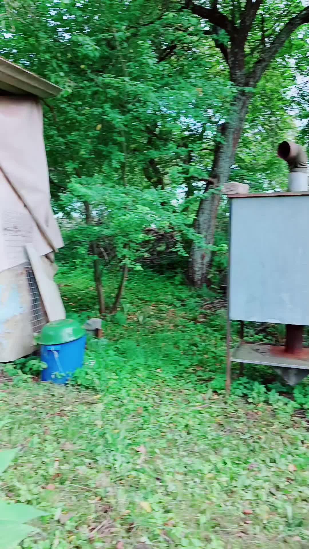 @šiška