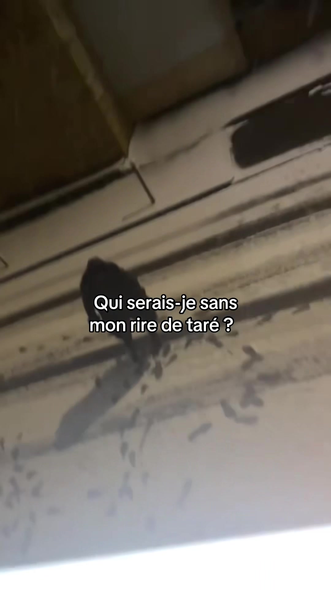 @@
