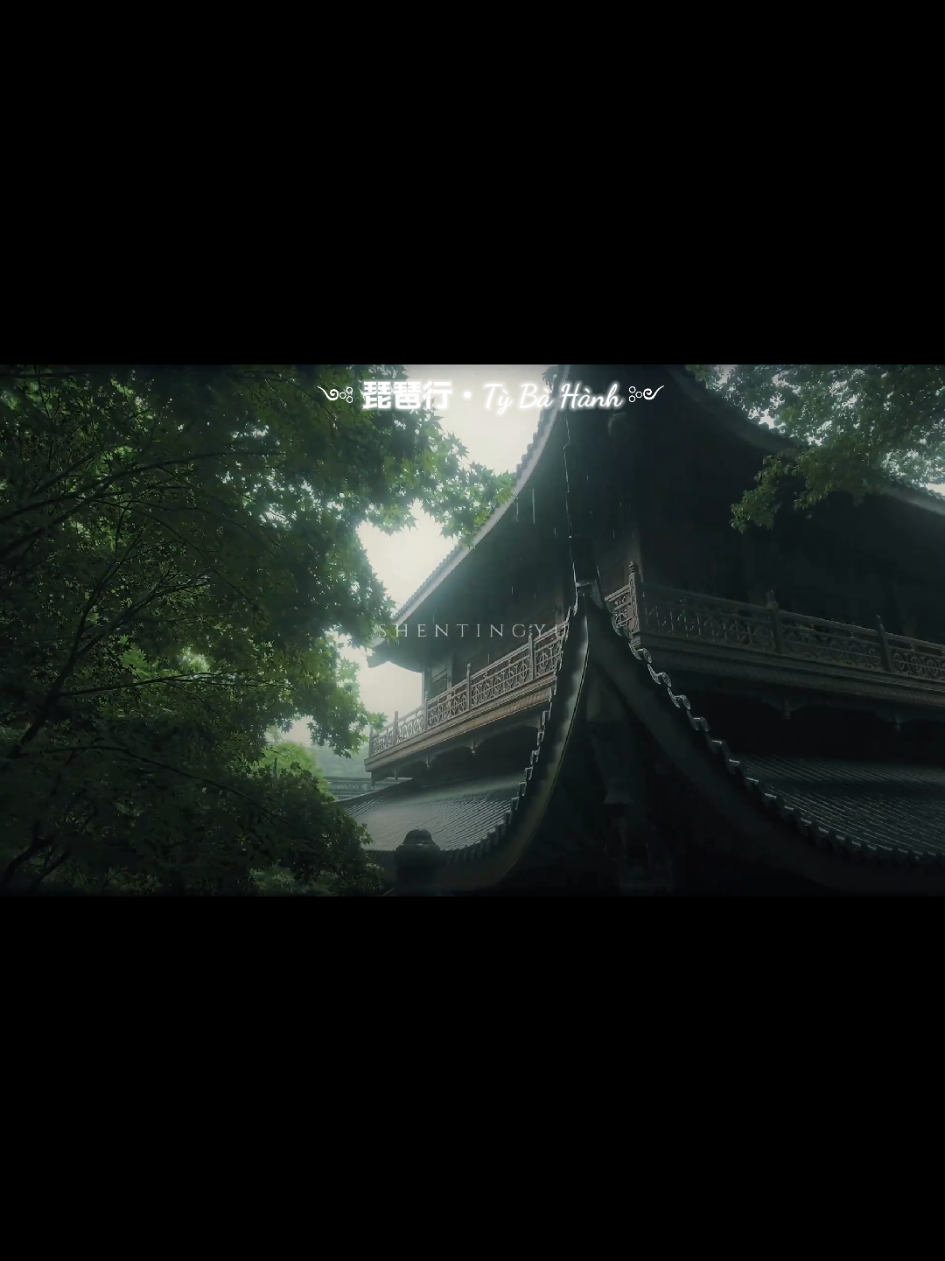 @竹丨《Trúc Ảnh》 🌿