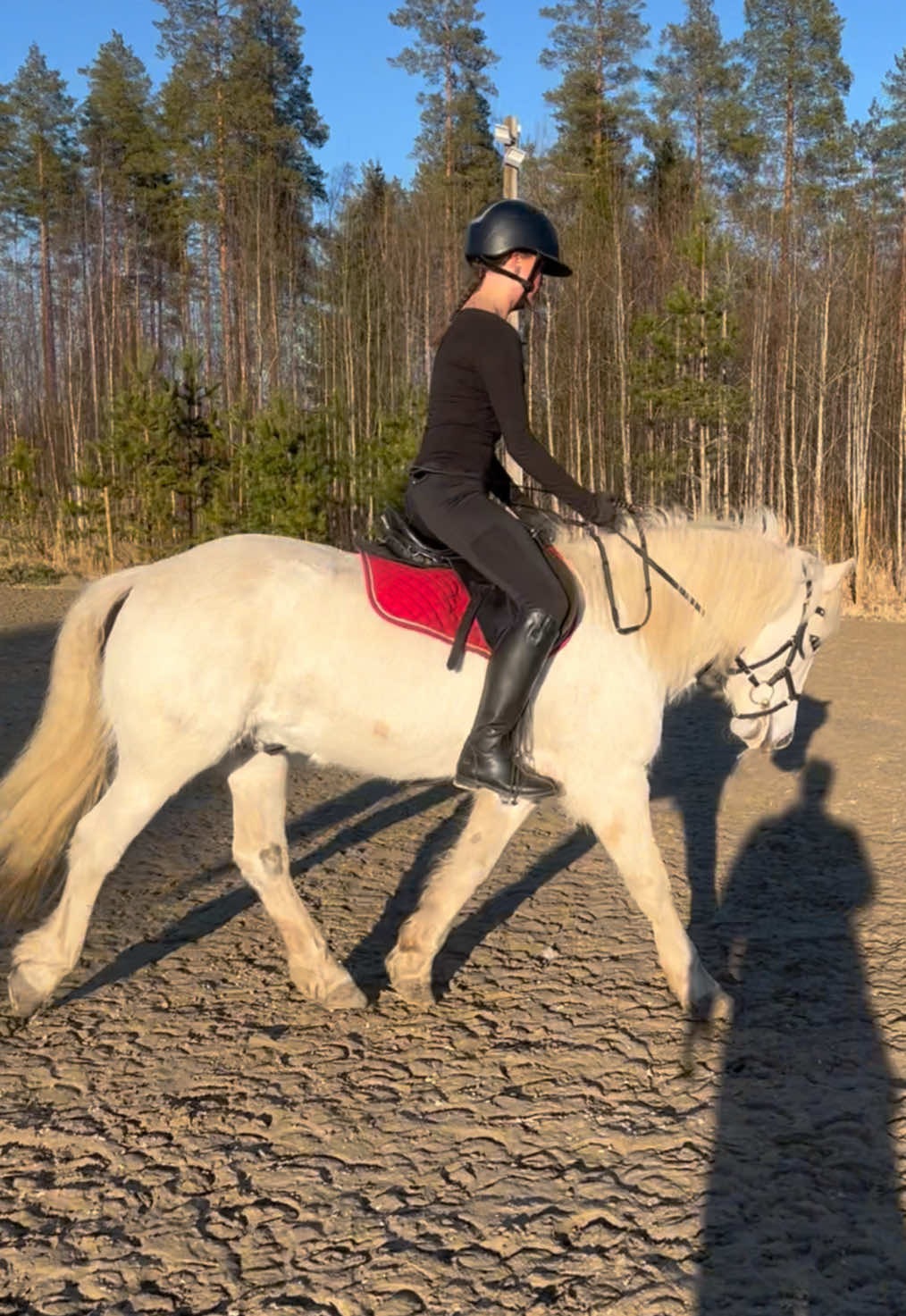 @🇫🇮𝐸𝑆𝑆𝐼 𝐴𝐻𝑂𝐿𝐴🇫🇮