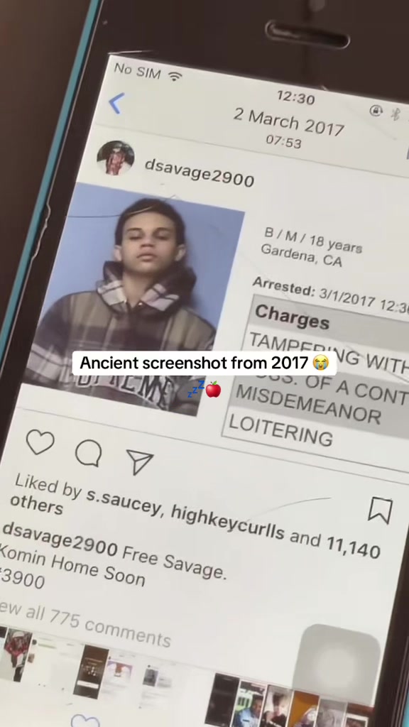 @sleepingapples