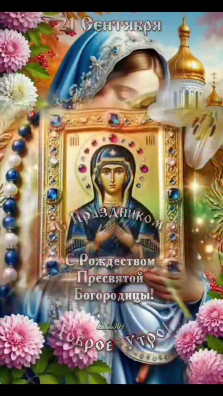 @🌼Ромашки для Наташки🌼