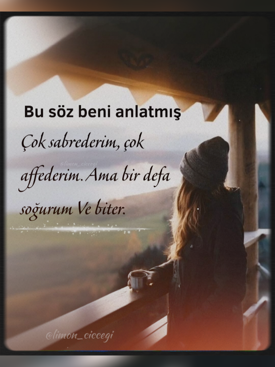 @Ulku Ozden
