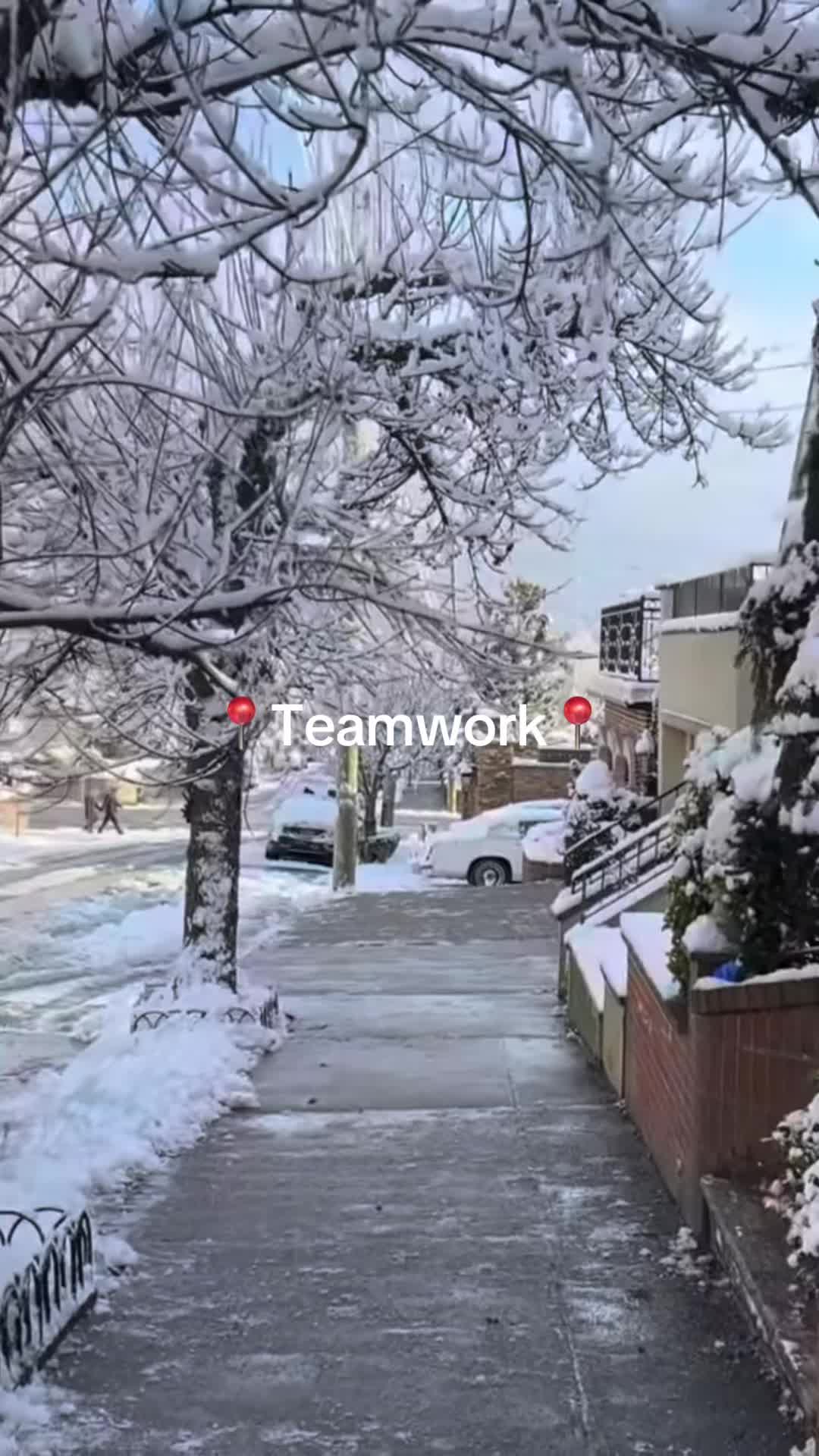 @Daily TeamWork