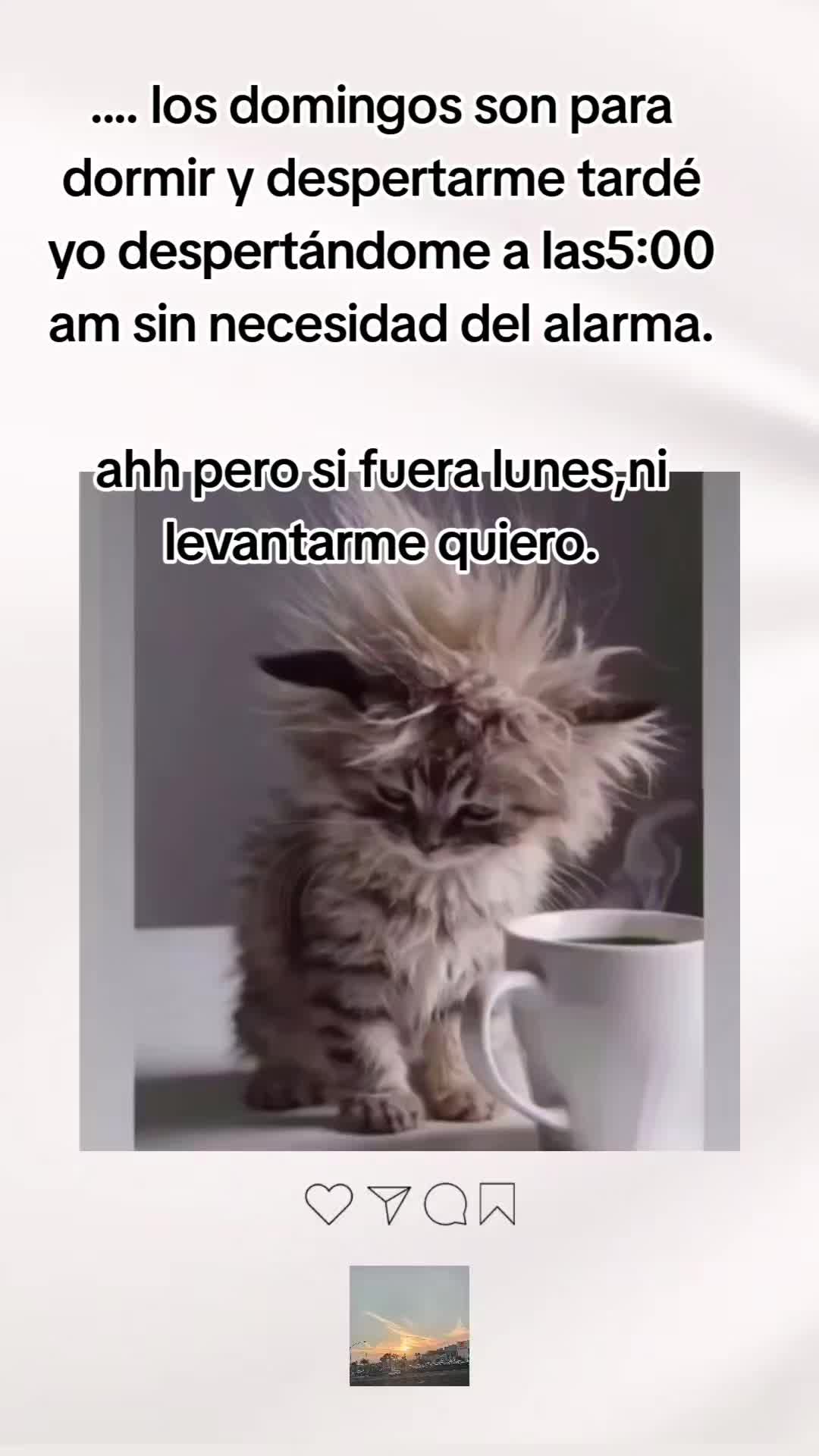 @🇲🇽🐦⬛🪺VASQUEZ🚚🌪💎