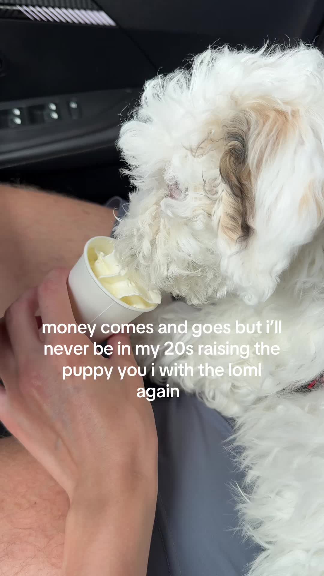 @Luc ✨🪩🕺
