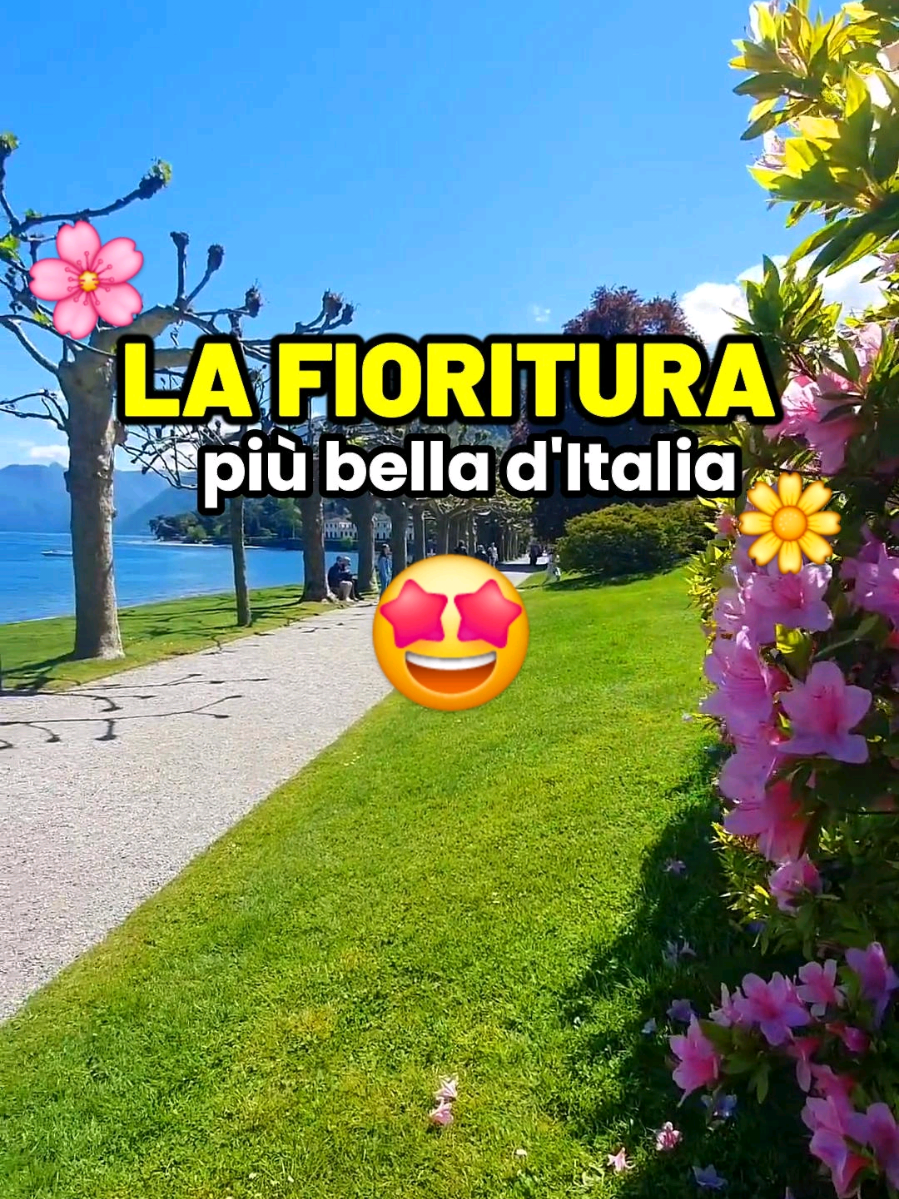 @Amore a primo viaggio