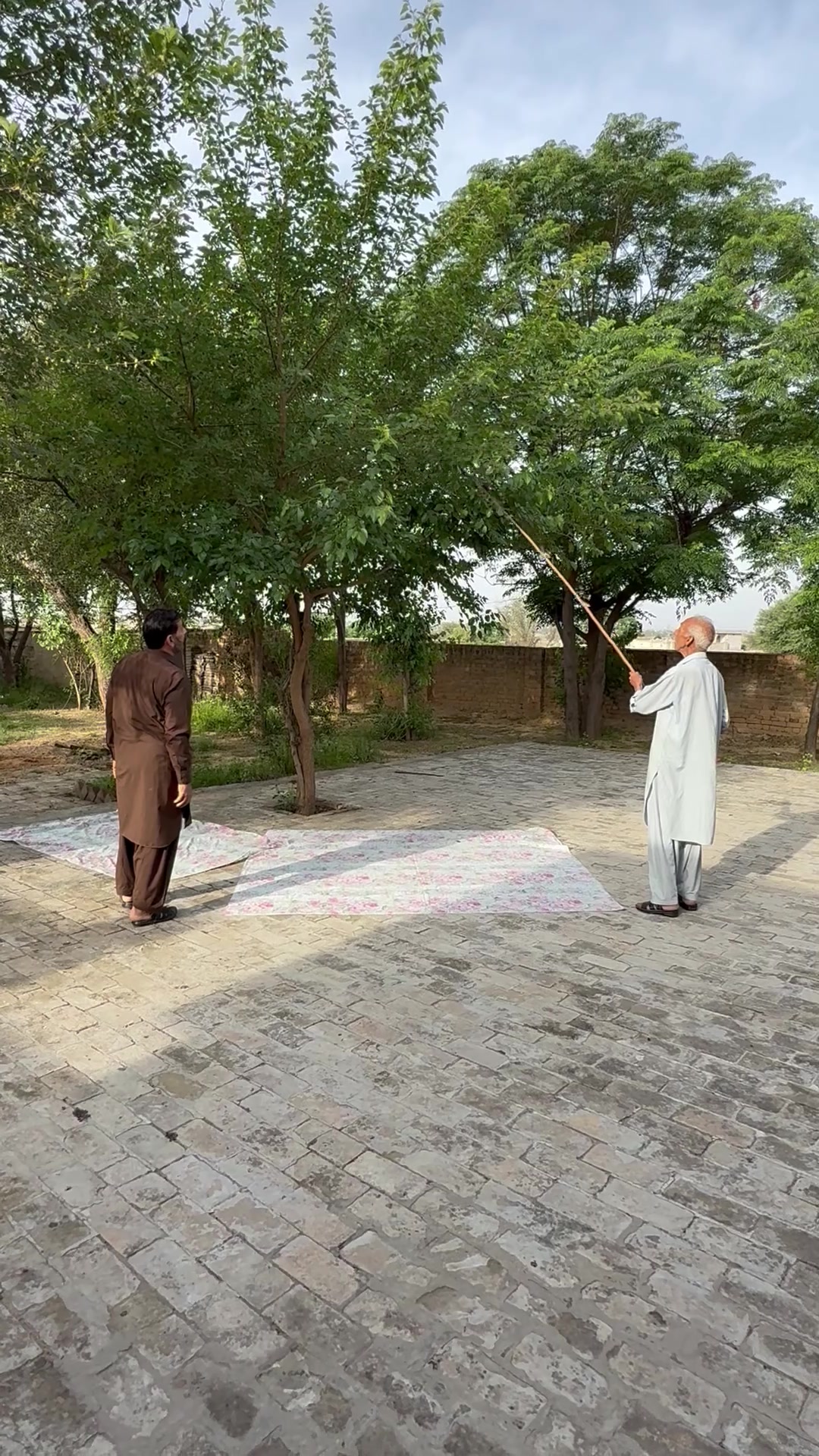 @hafeezm17