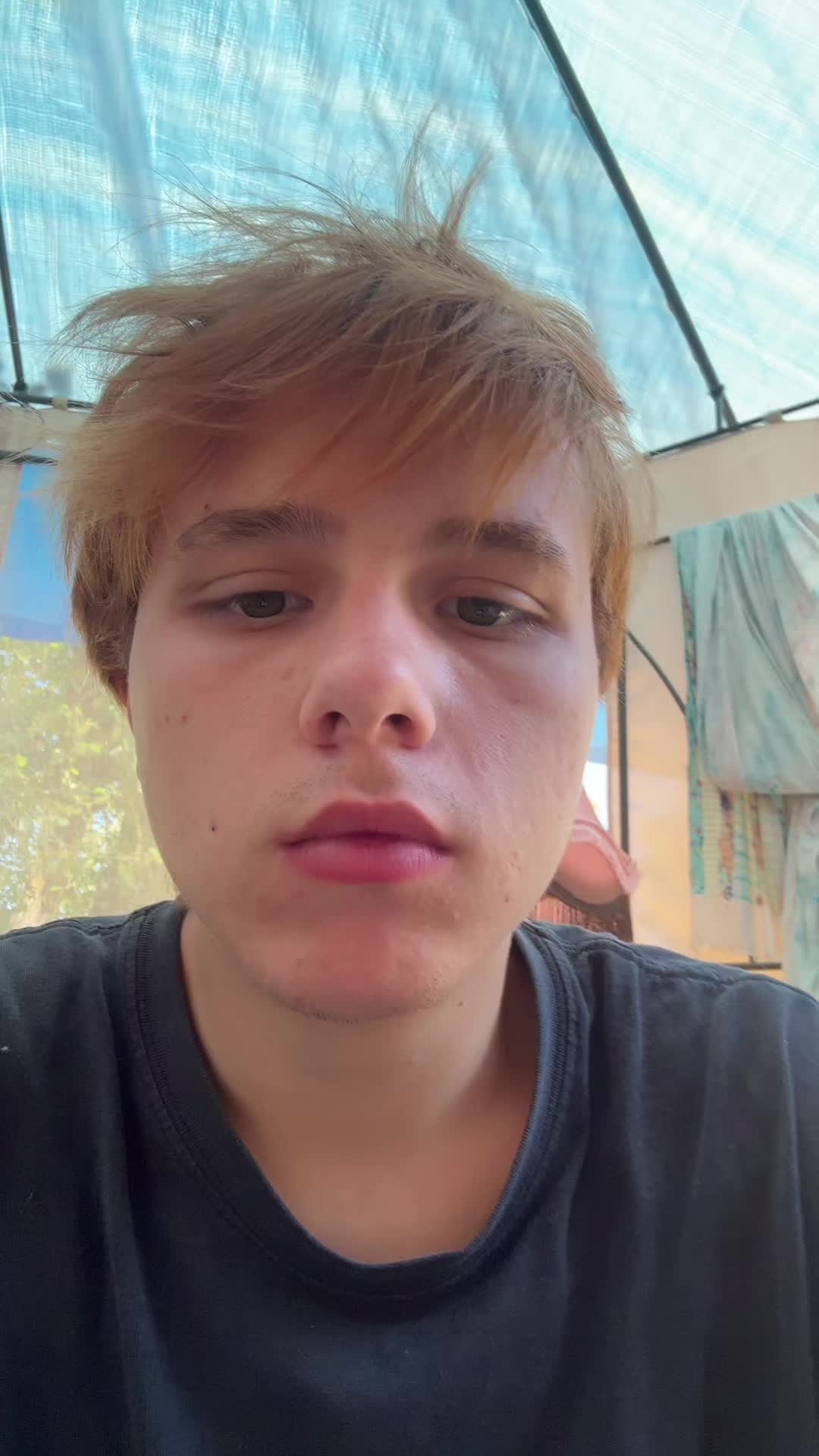 @ведмідь