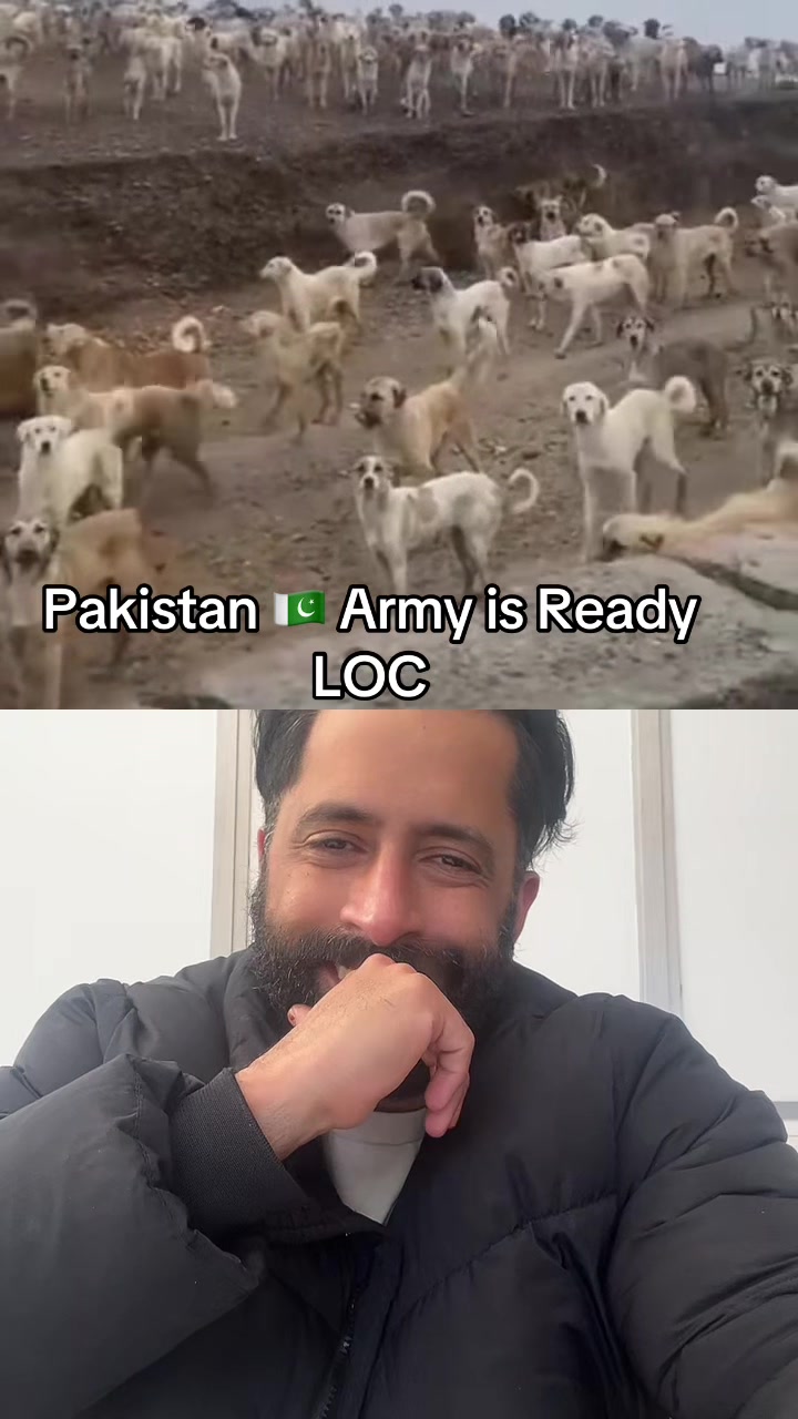 @Commando Sarj