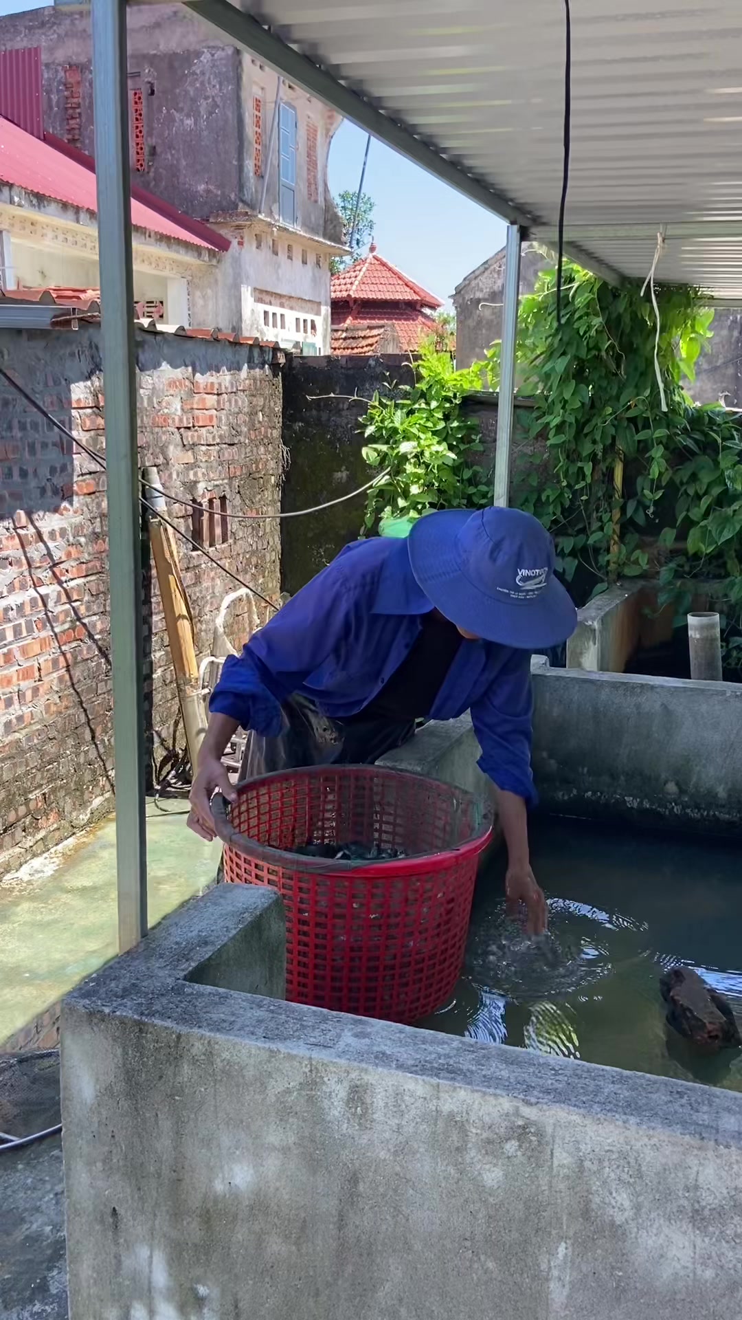 @Trại Cá Giống Quang Lâm
