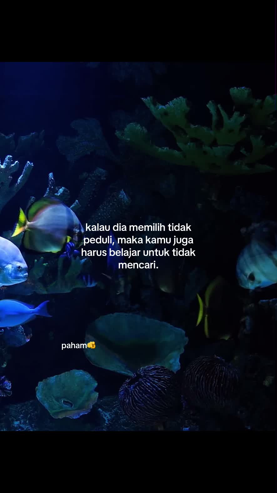 @GALAU;) Arieff