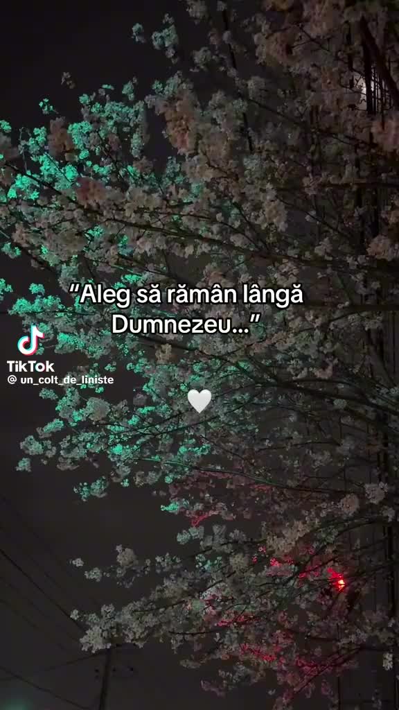 @Ionuț Ionuț