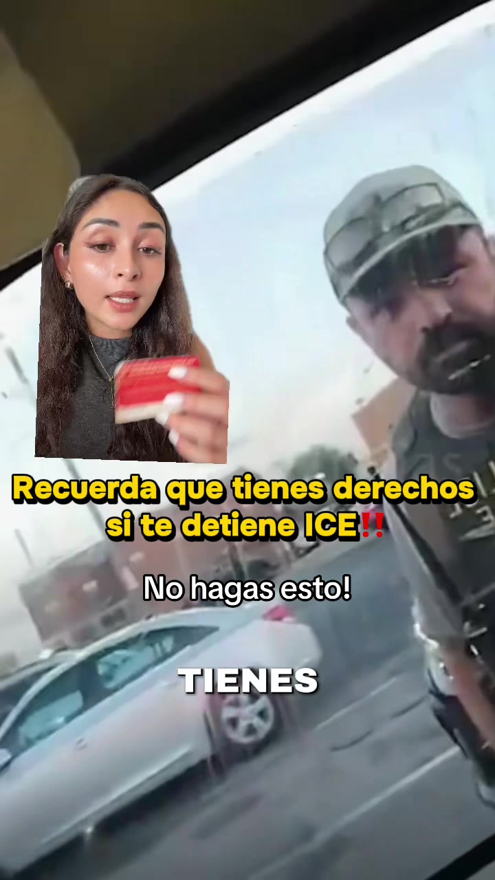 @dienerlawabogados