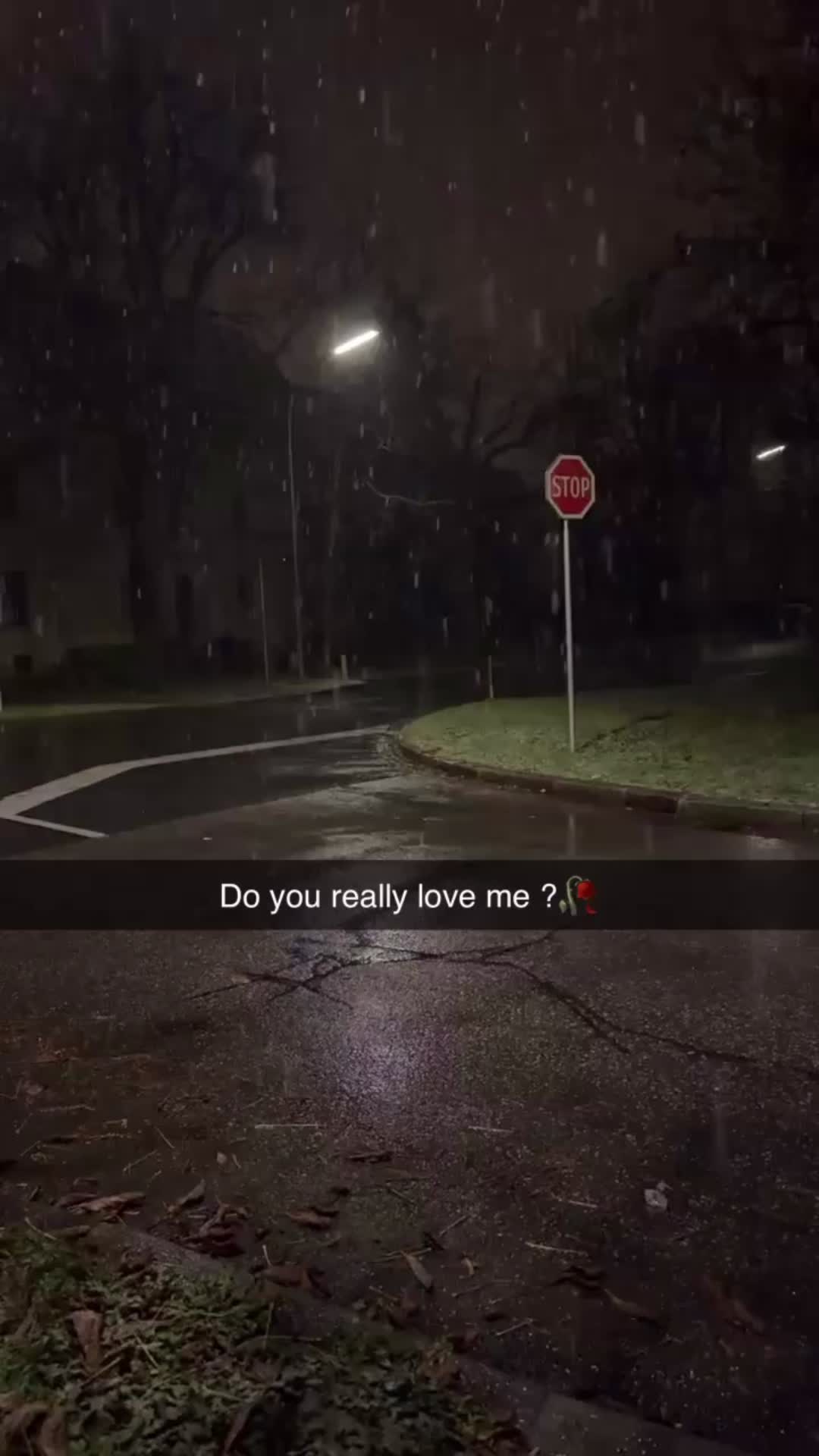 @moonfloowerrr