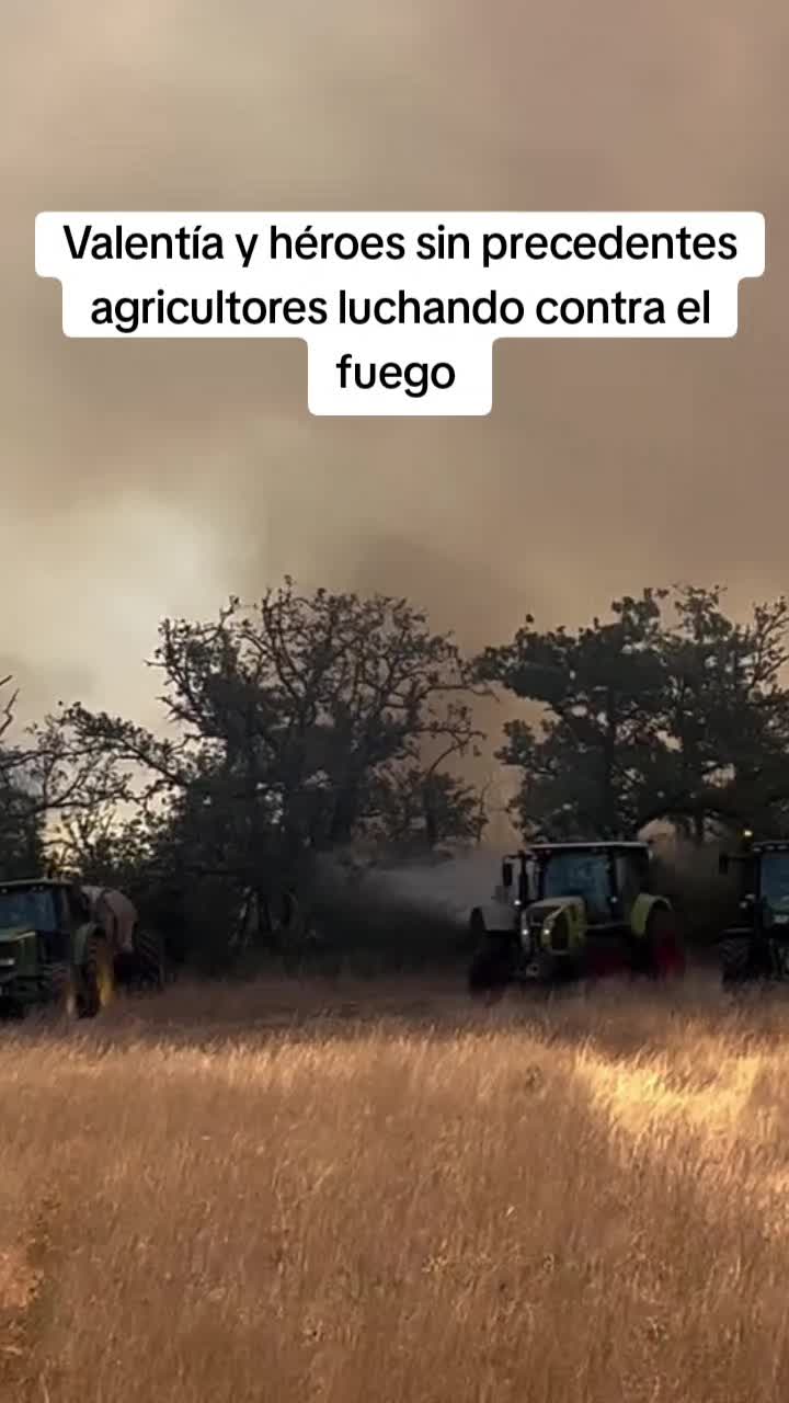 @javiersanchezlibra