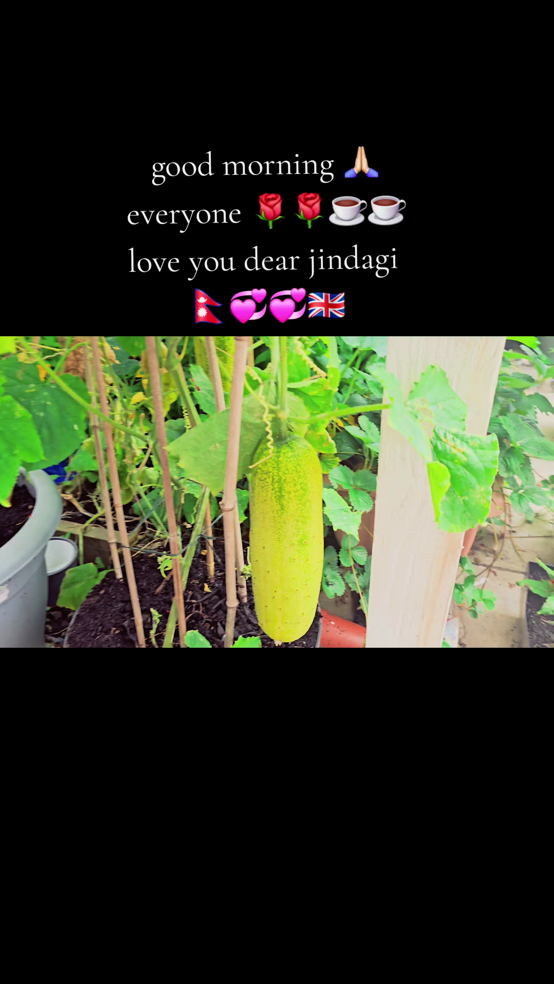 @RanuAdhikariKunwar....
