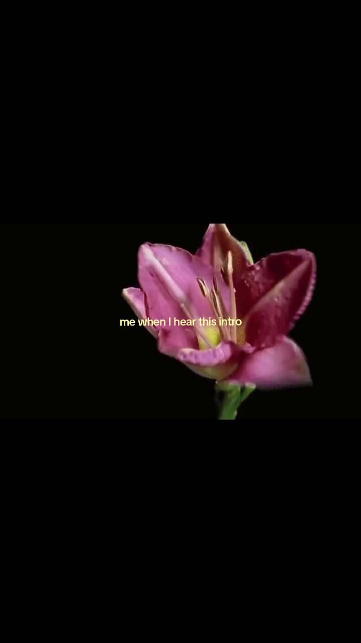 @𐙚⋆°🦢⋆ᥫ᭡