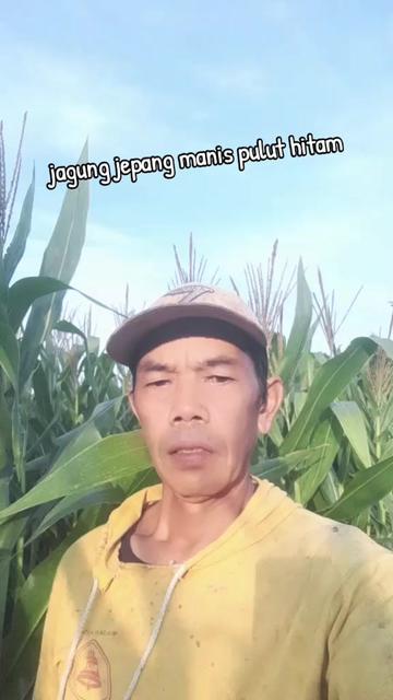 @abah sunarto olshop