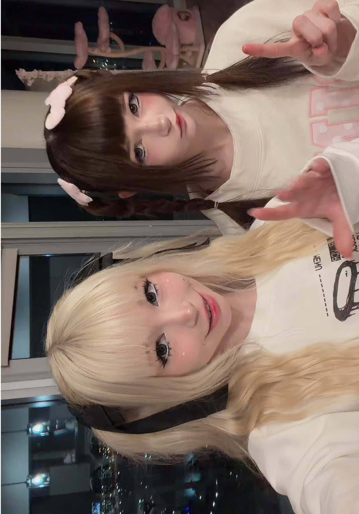 @ʚ smeepycats ɞ