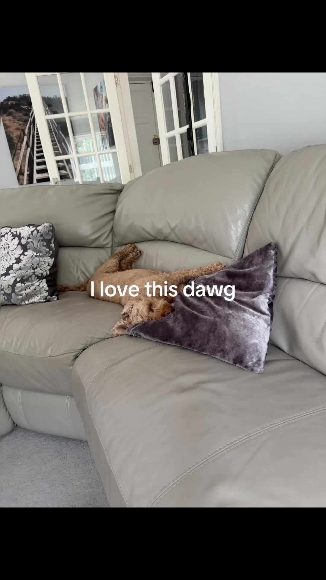 @m4dd1va