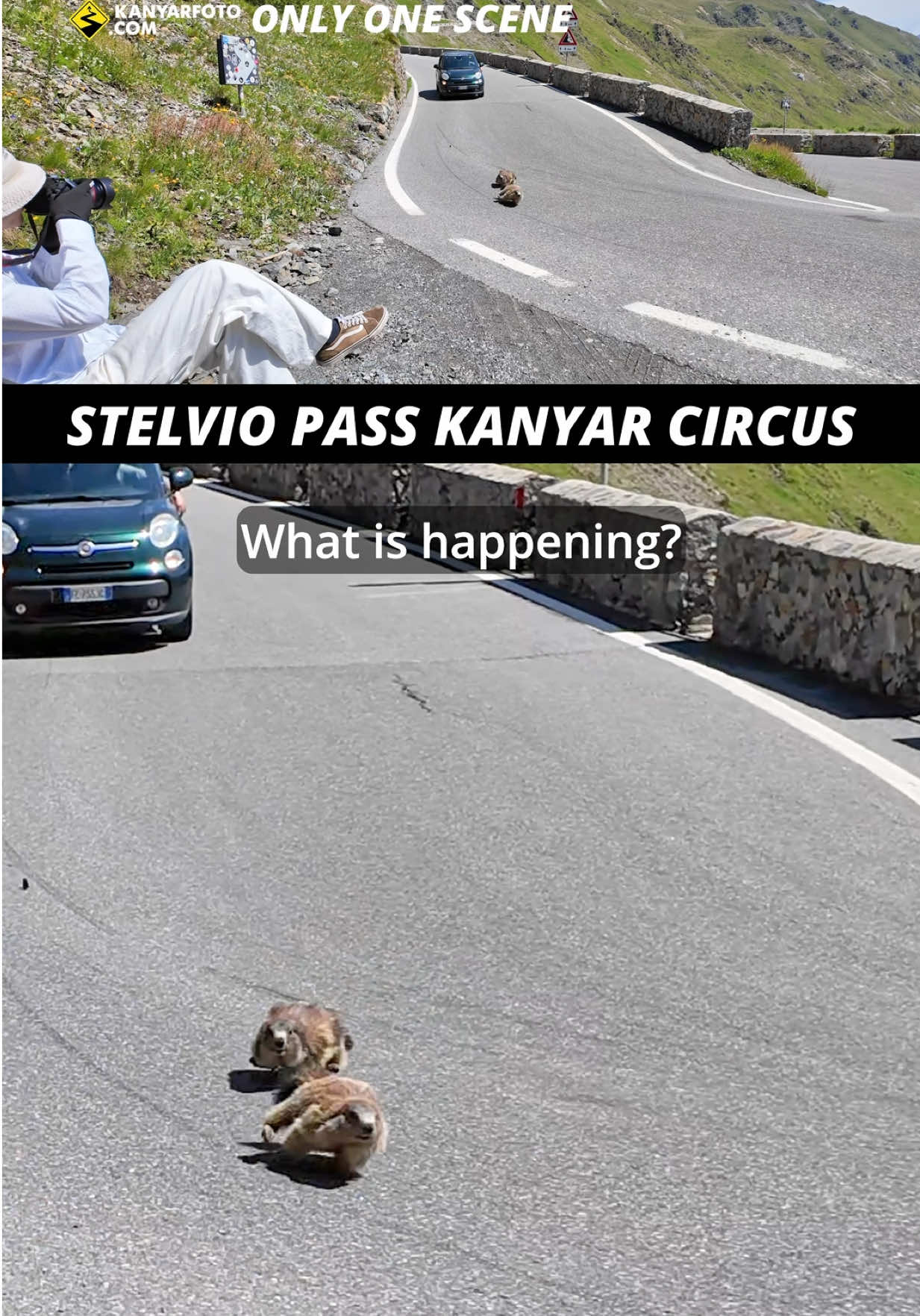 @Kanyarfoto