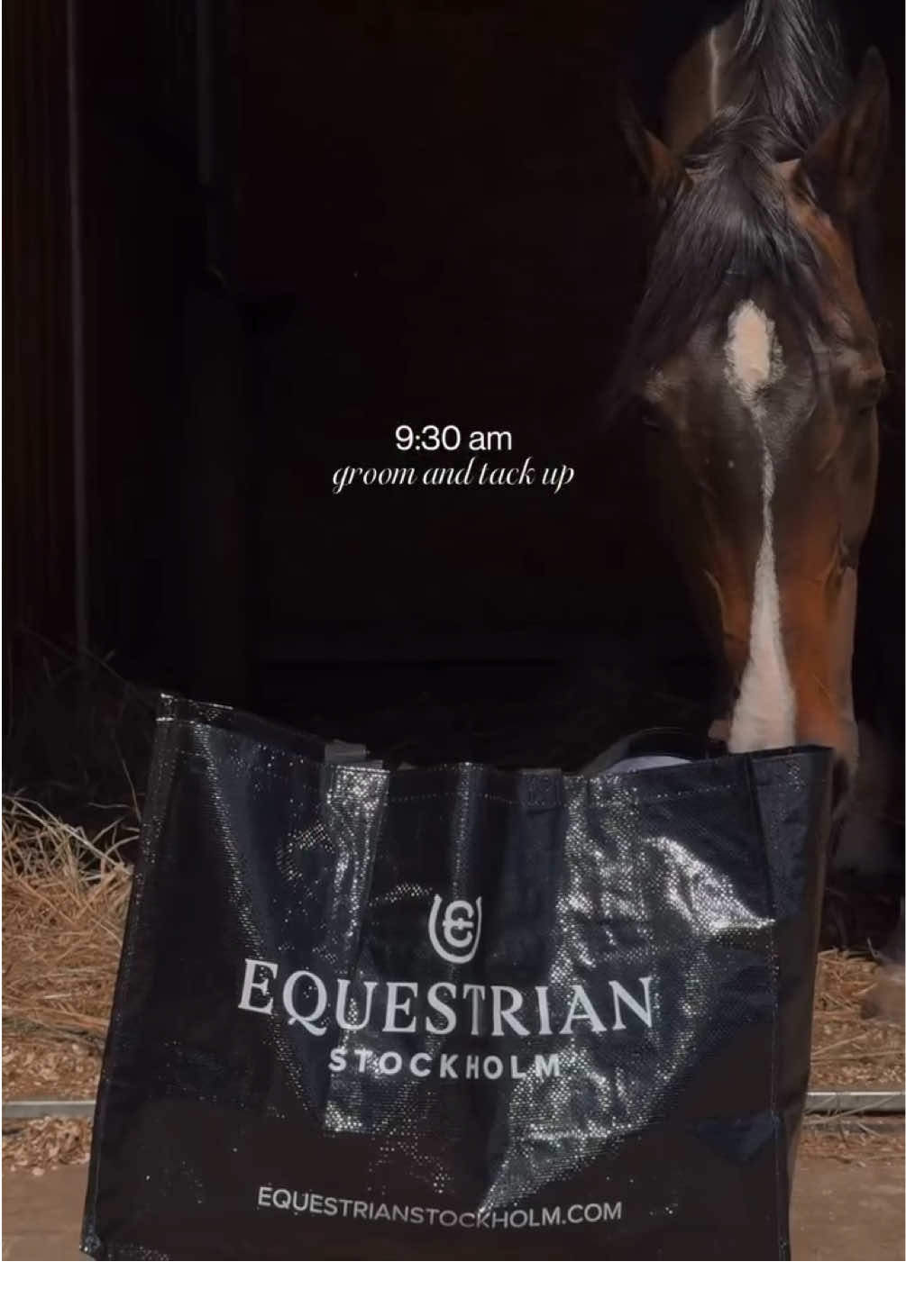 @Equestrian Stockholm