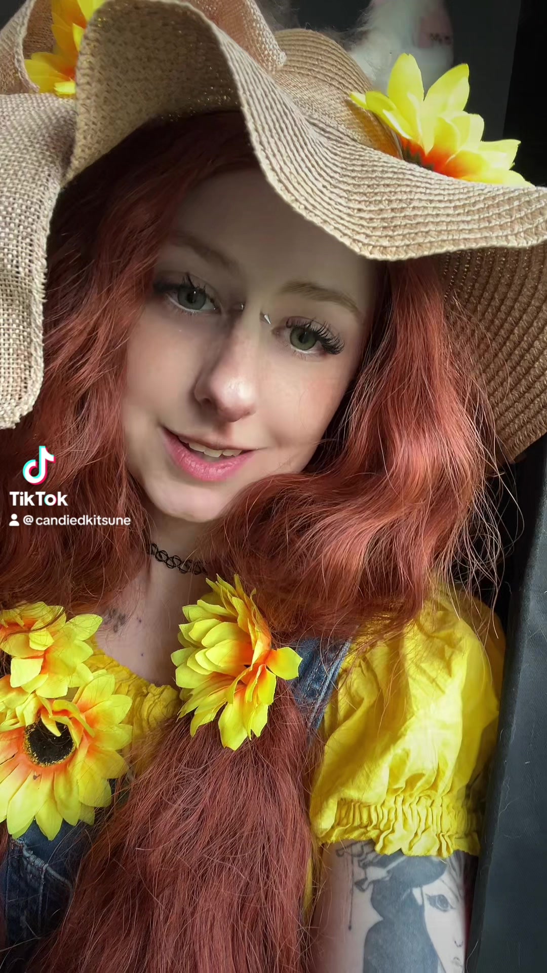 @candiedkitsune