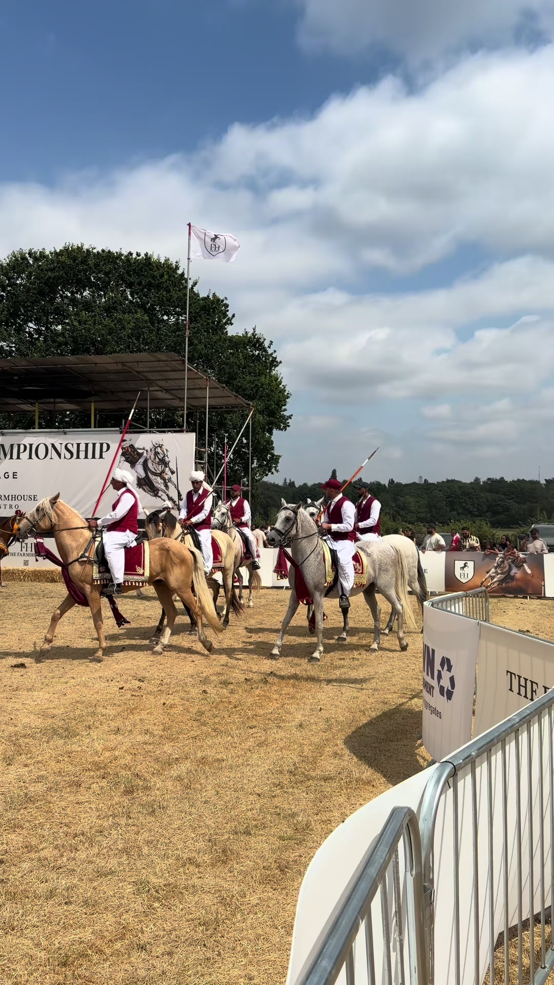 @Slough horses