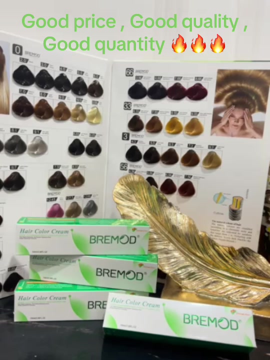 @Bremodhairexpert